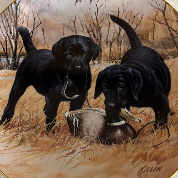 Decorative Jim Killen Porcelain Collector Plate - Picture 2 of 5